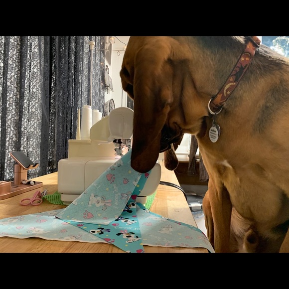 Meet your Posher, Patricia - Picture 2 of 3